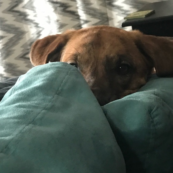 Meet your Posher, Wendy - Picture 4 of 5